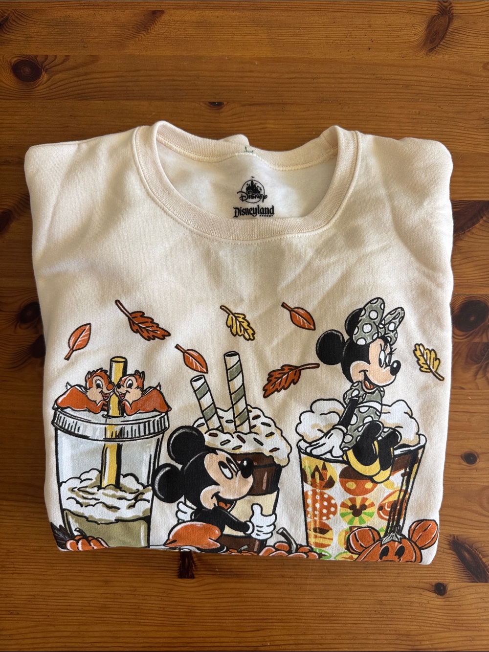 Disney Disneyland Resort Pumpkin Spice & Everything Nice Crewneck Sweatshirt - Picture 14 of 16